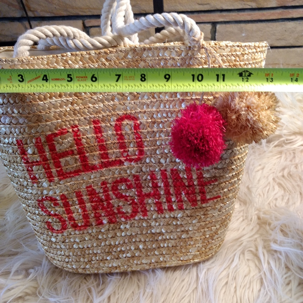 5/$25 Disney straw bag